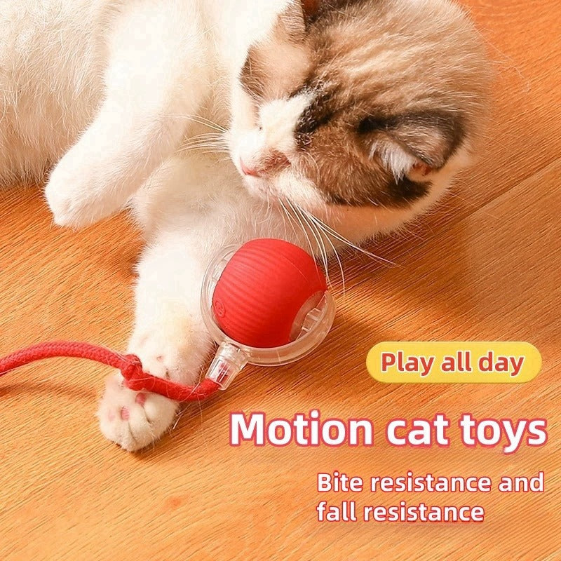 🔥Last Week Clearance Sale 49% OFF🐾Automatic Interactive Pet Toys Ball🎁BUY MORE FREE MORE