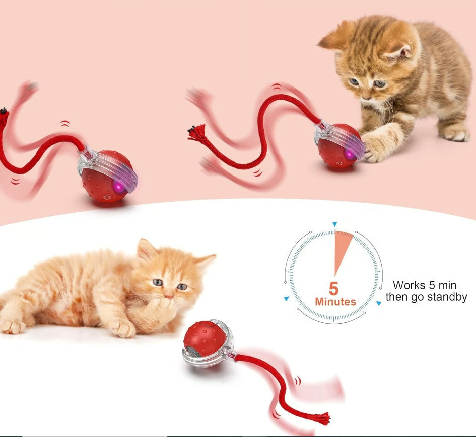 🔥Last Week Clearance Sale 49% OFF🐾Automatic Interactive Pet Toys Ball🎁BUY MORE FREE MORE