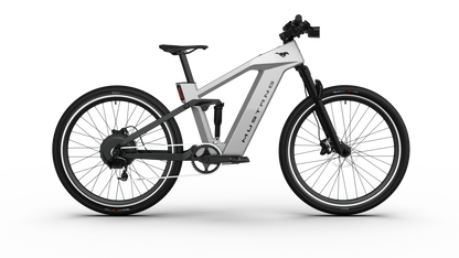 Mustang E-Bike
