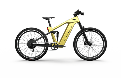Mustang E-Bike