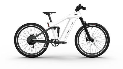 Mustang E-Bike