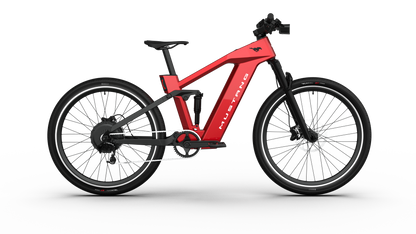 Mustang E-Bike