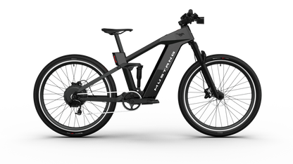 Mustang E-Bike