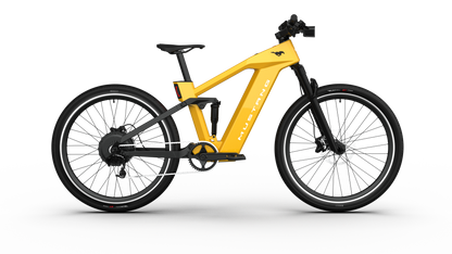 Mustang E-Bike