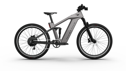 Mustang E-Bike