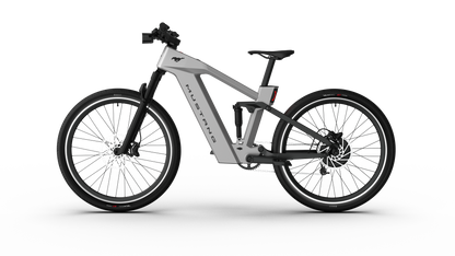 Mustang E-Bike