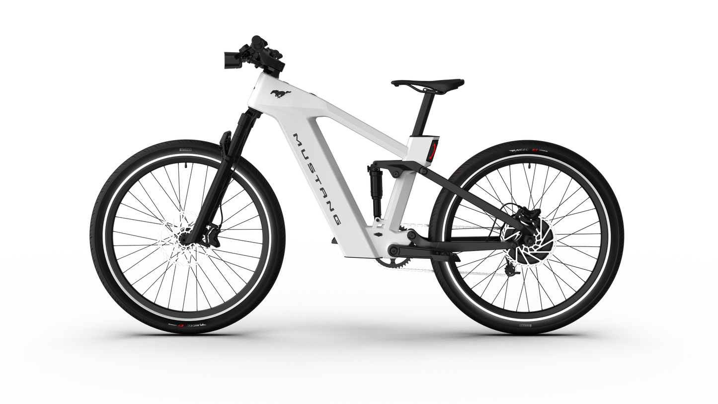 Mustang E-Bike
