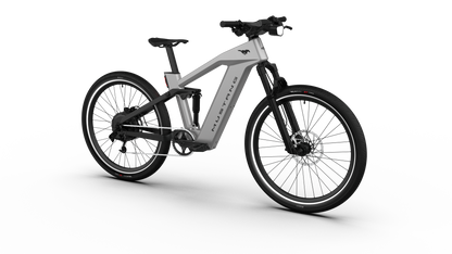 Mustang E-Bike