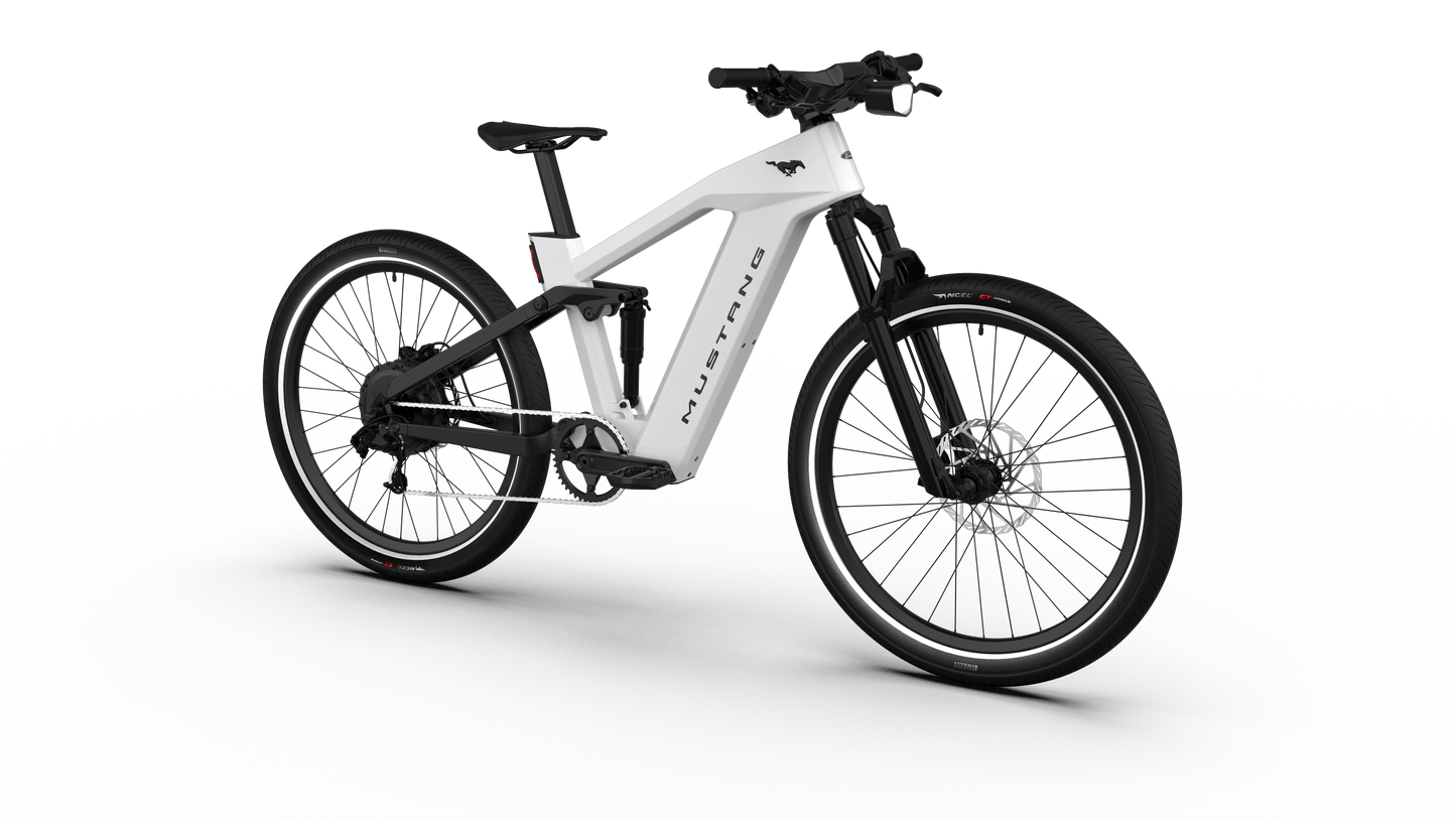 Mustang E-Bike