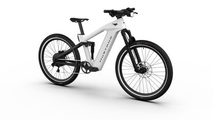 Mustang E-Bike