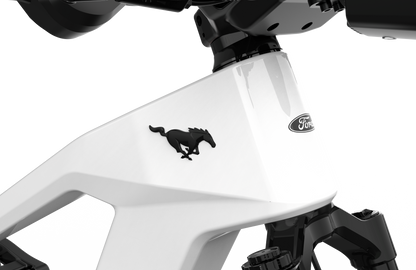 Mustang E-Bike