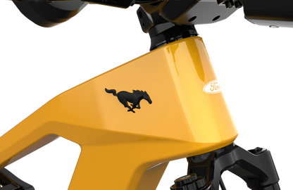 Mustang E-Bike