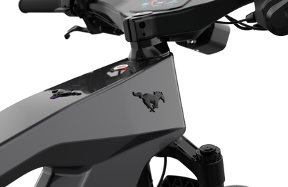 Mustang E-Bike