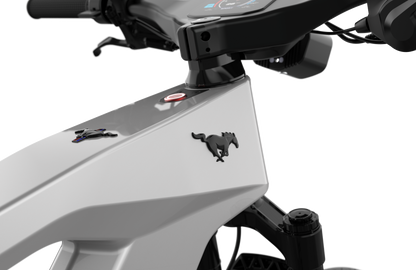 Mustang E-Bike
