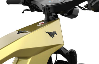 Mustang E-Bike