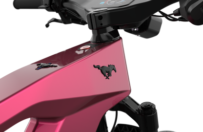 Mustang E-Bike