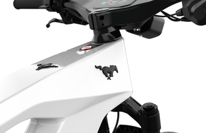 Mustang E-Bike