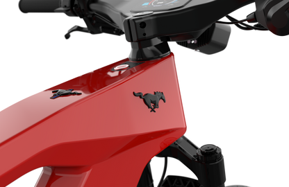 Mustang E-Bike