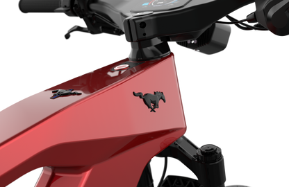 Mustang E-Bike