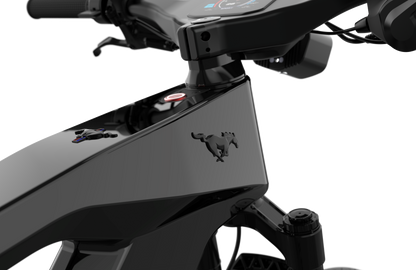 Mustang E-Bike