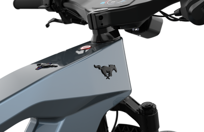 Mustang E-Bike