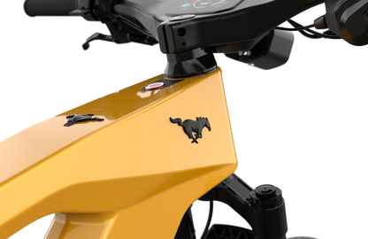 Mustang E-Bike