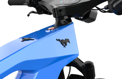 Mustang E-Bike