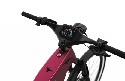 Mustang E-Bike