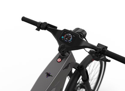Mustang E-Bike