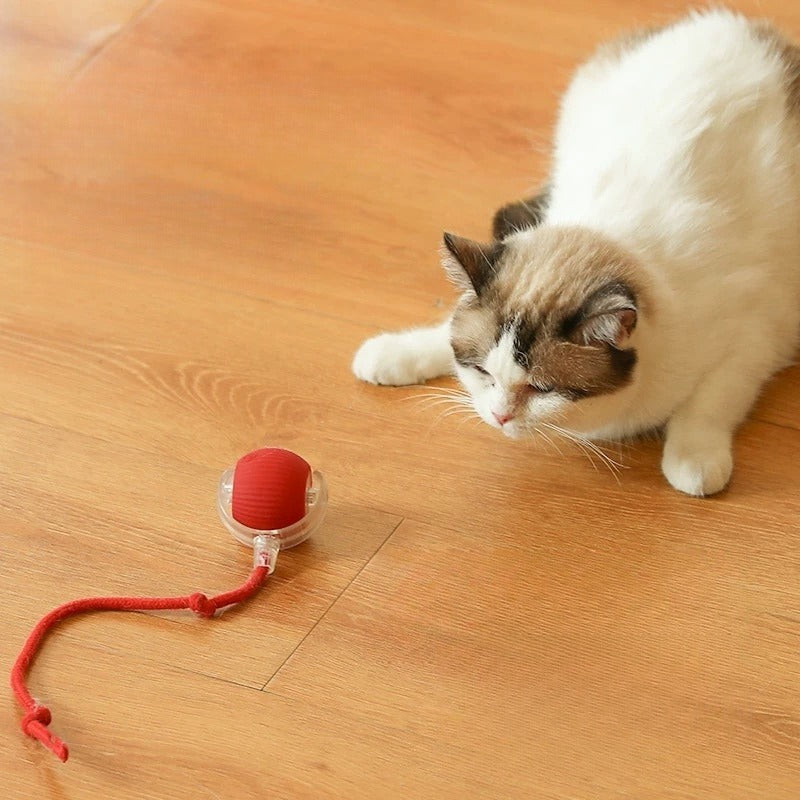 🔥Last Week Clearance Sale 49% OFF🐾Automatic Interactive Pet Toys Ball🎁BUY MORE FREE MORE