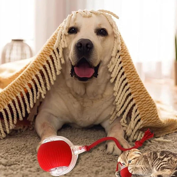 🔥Last Week Clearance Sale 49% OFF🐾Automatic Interactive Pet Toys Ball🎁BUY MORE FREE MORE
