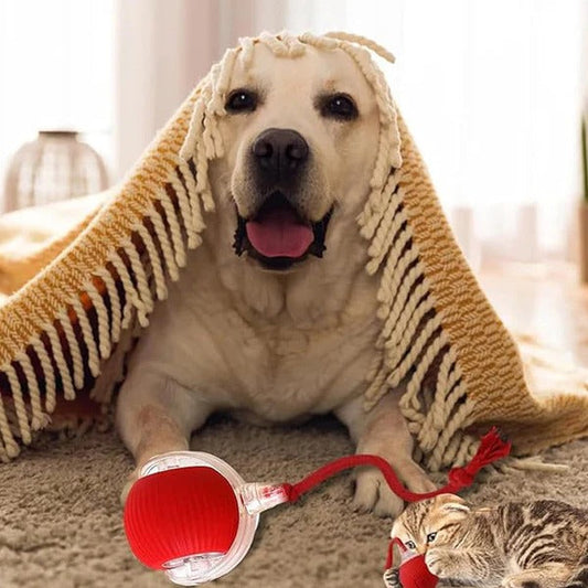 🔥Last Week Clearance Sale 49% OFF🐾Automatic Interactive Pet Toys Ball🎁BUY MORE FREE MORE