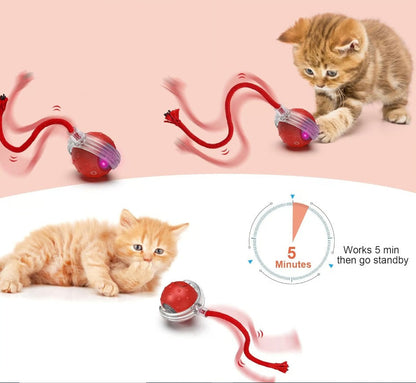 🔥Last Week Clearance Sale 49% OFF🐾Automatic Interactive Pet Toys Ball🎁BUY MORE FREE MORE