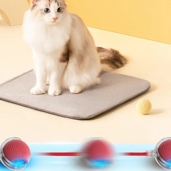 🔥Last Week Clearance Sale 49% OFF🐾Automatic Interactive Pet Toys Ball🎁BUY MORE FREE MORE