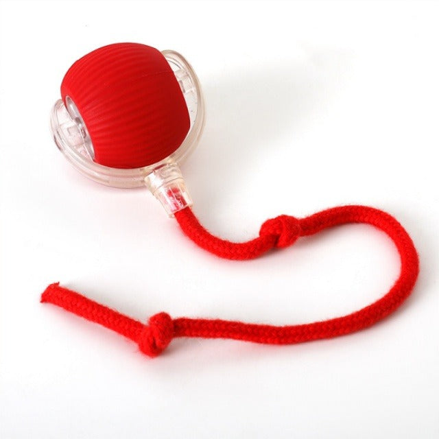 🔥Last Week Clearance Sale 49% OFF🐾Automatic Interactive Pet Toys Ball🎁BUY MORE FREE MORE
