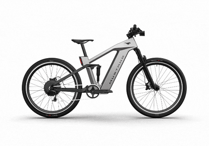 Mustang E-Bike