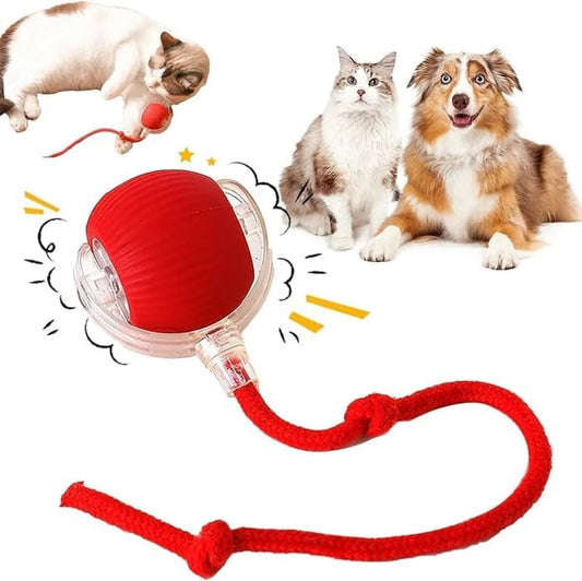 🔥Last Week Clearance Sale 49% OFF🐾Automatic Interactive Pet Toys Ball🎁BUY MORE FREE MORE