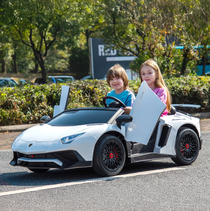 24V Lamborghini Aventador 2 Seater Ride On Car for Kids
